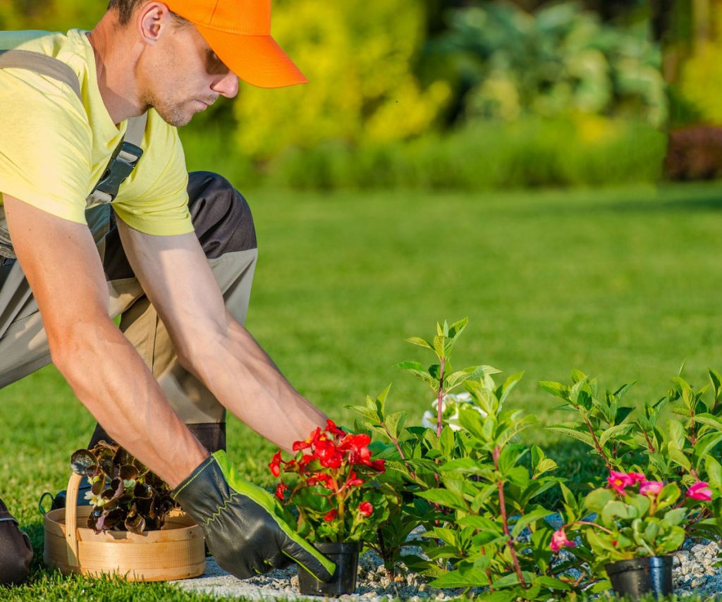Landscaping Contractor in Colton, CA Landscaping Contractor